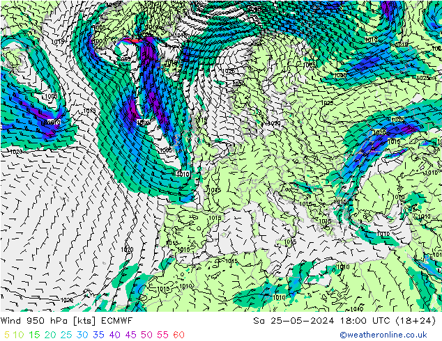  950 hPa ECMWF  25.05.2024 18 UTC