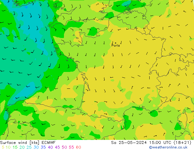 Bodenwind ECMWF Sa 25.05.2024 15 UTC