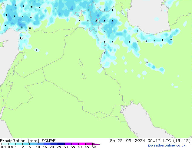 Niederschlag ECMWF Sa 25.05.2024 12 UTC