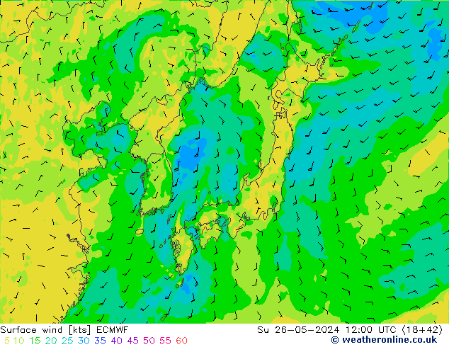 ветер 10 m ECMWF Вс 26.05.2024 12 UTC