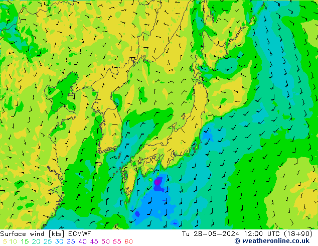 ветер 10 m ECMWF вт 28.05.2024 12 UTC