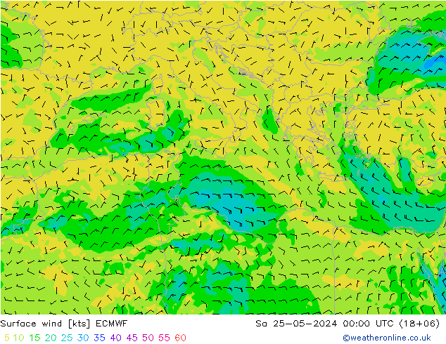 Vento 10 m ECMWF sab 25.05.2024 00 UTC