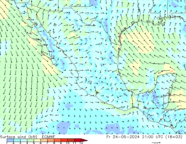 ве�Bе�@ 10 m (bft) ECMWF пт 24.05.2024 21 UTC