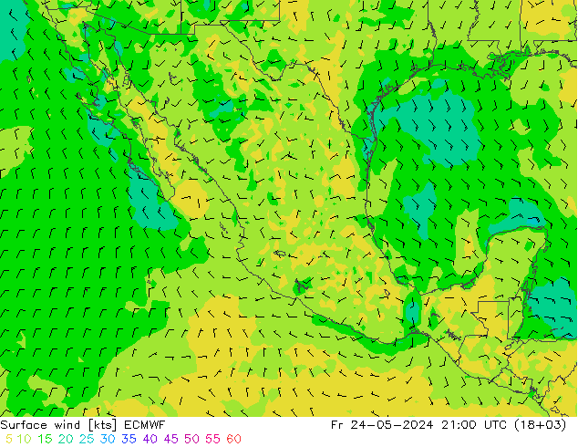 Vento 10 m ECMWF ven 24.05.2024 21 UTC