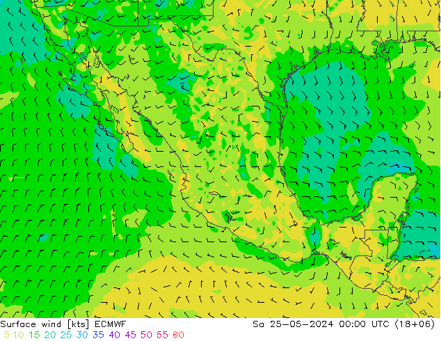 Surface wind ECMWF So 25.05.2024 00 UTC