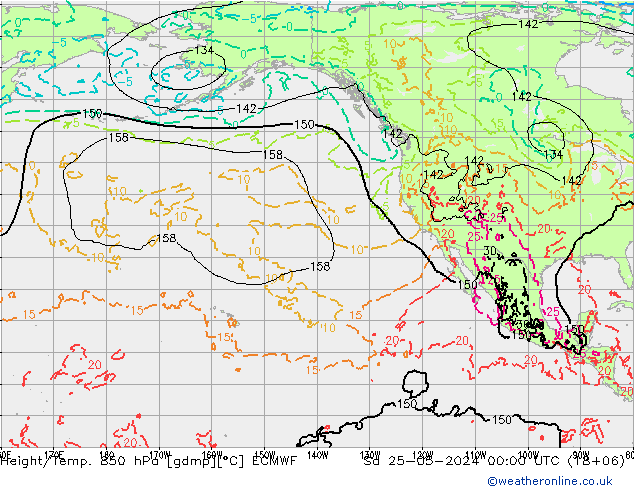 Z500/Rain (+SLP)/Z850 ECMWF So 25.05.2024 00 UTC