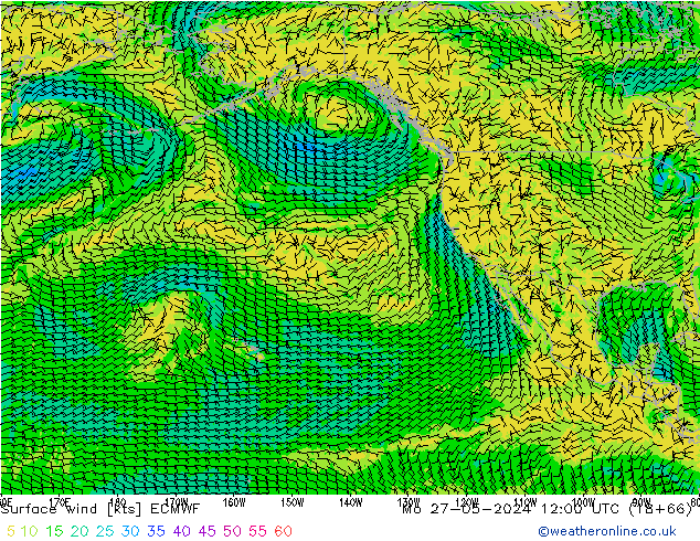 Surface wind ECMWF Mo 27.05.2024 12 UTC