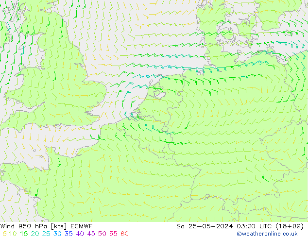 Wind 950 hPa ECMWF Sa 25.05.2024 03 UTC