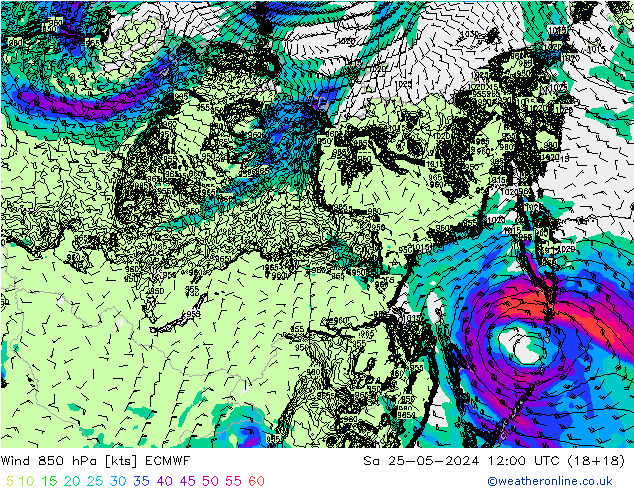 Viento 850 hPa ECMWF sáb 25.05.2024 12 UTC