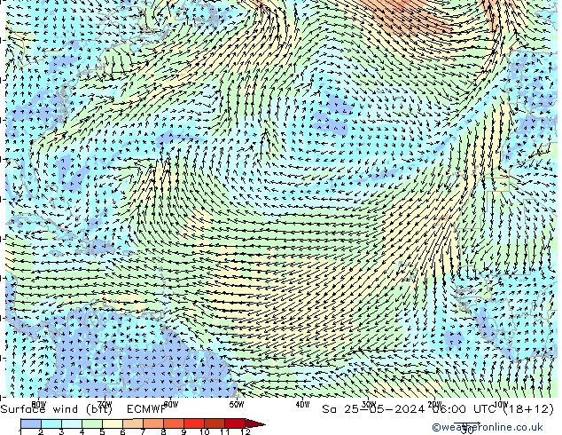 Rüzgar 10 m (bft) ECMWF Cts 25.05.2024 06 UTC