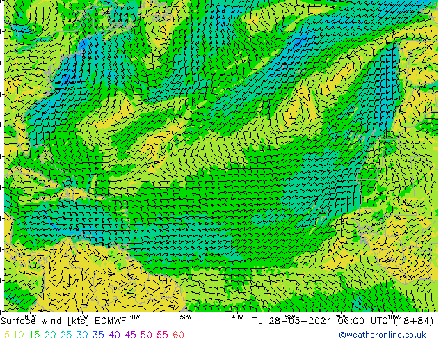 ветер 10 m ECMWF вт 28.05.2024 06 UTC