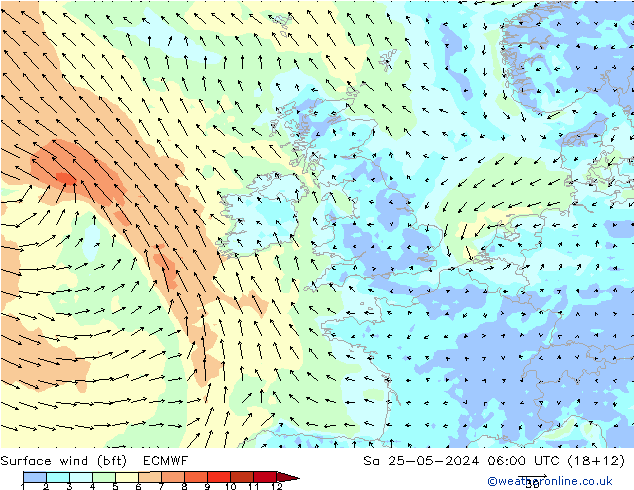 Surface wind (bft) ECMWF Sa 25.05.2024 06 UTC