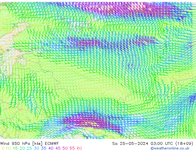  Sa 25.05.2024 03 UTC