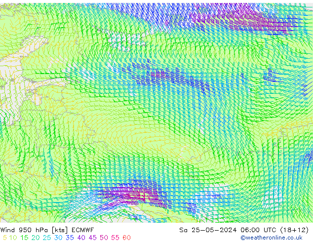  Sa 25.05.2024 06 UTC