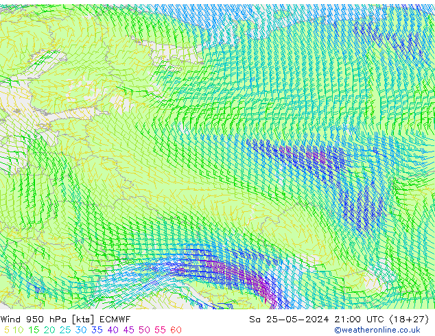  Sa 25.05.2024 21 UTC