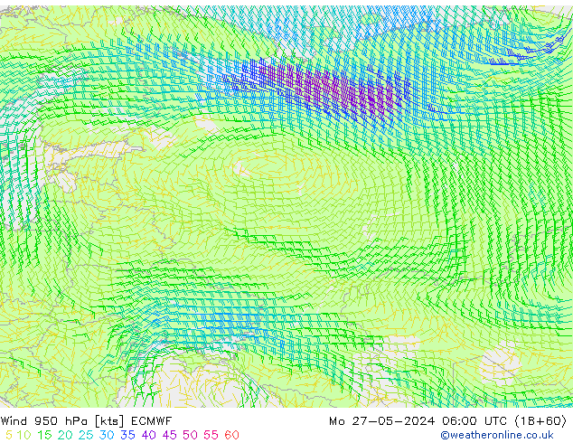 ветер 950 гПа ECMWF пн 27.05.2024 06 UTC