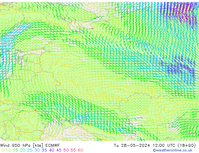 ветер 950 гПа ECMWF вт 28.05.2024 12 UTC