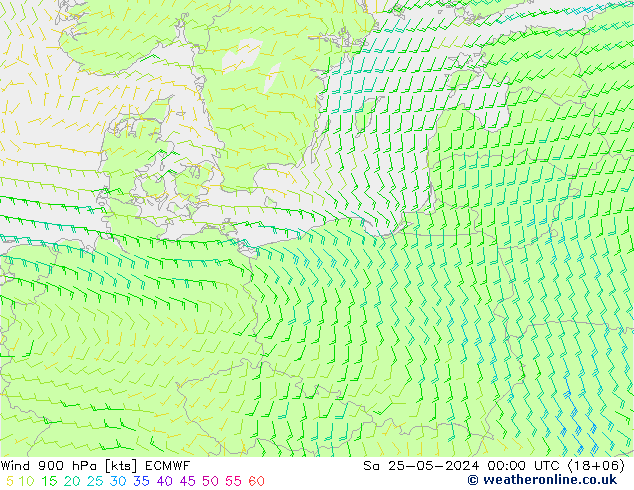 Wind 900 hPa ECMWF za 25.05.2024 00 UTC