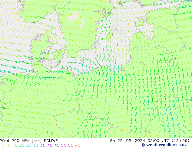  Sa 25.05.2024 03 UTC