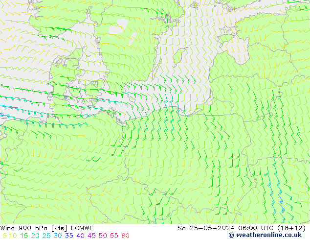  Sa 25.05.2024 06 UTC