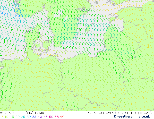 ветер 900 гПа ECMWF Вс 26.05.2024 06 UTC