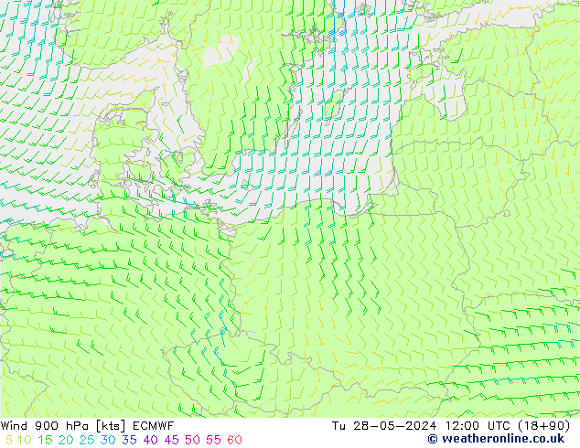  900 hPa ECMWF  28.05.2024 12 UTC