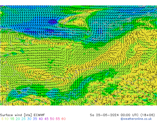 Vent 10 m ECMWF sam 25.05.2024 00 UTC