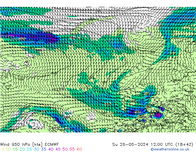 Wind 950 hPa ECMWF zo 26.05.2024 12 UTC