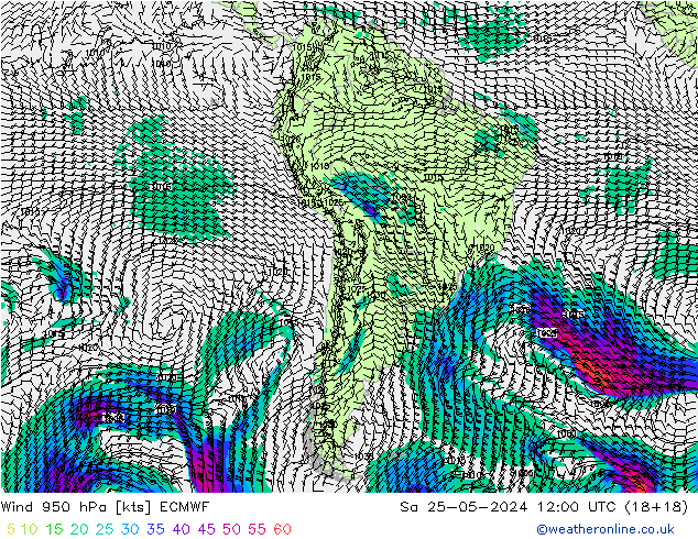 Wind 950 hPa ECMWF za 25.05.2024 12 UTC