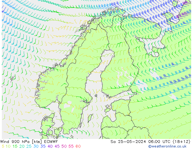 Wind 900 hPa ECMWF Sa 25.05.2024 06 UTC