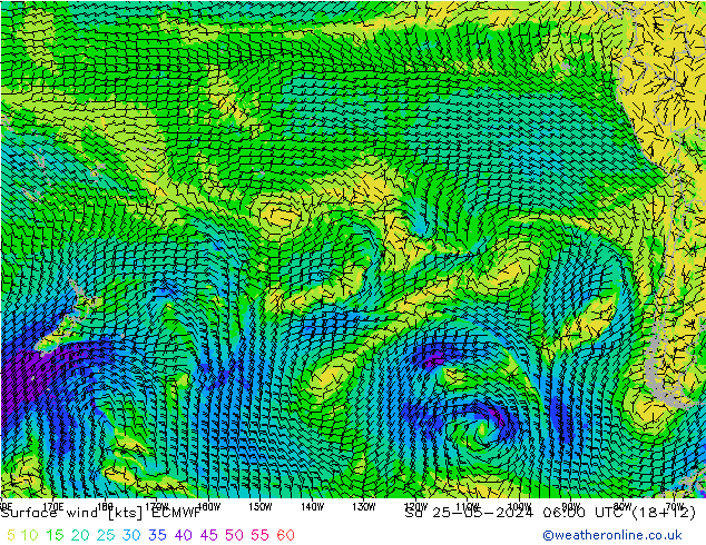 Wind 10 m ECMWF za 25.05.2024 06 UTC