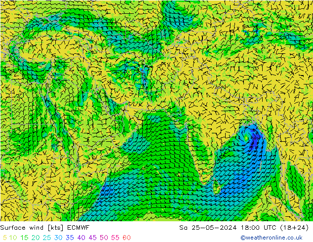 wiatr 10 m ECMWF so. 25.05.2024 18 UTC