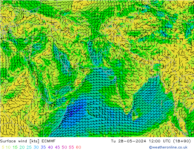 Surface wind ECMWF Tu 28.05.2024 12 UTC