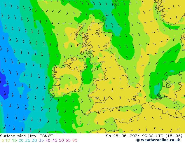风 10 米 ECMWF 星期六 25.05.2024 00 UTC
