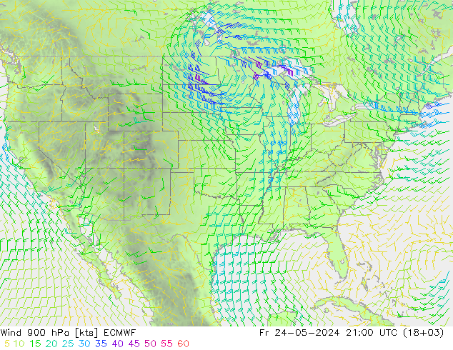 Rüzgar 900 hPa ECMWF Cu 24.05.2024 21 UTC