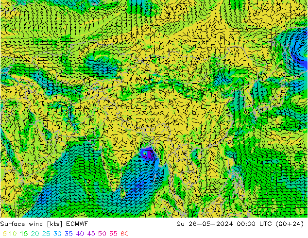 Vento 10 m ECMWF dom 26.05.2024 00 UTC