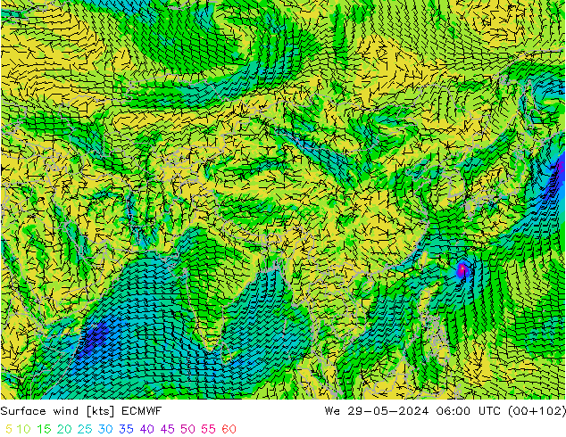 Surface wind ECMWF St 29.05.2024 06 UTC