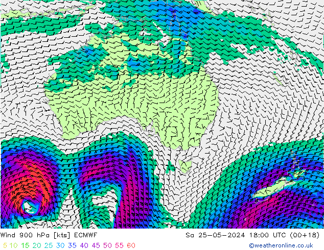 Wind 900 hPa ECMWF Sa 25.05.2024 18 UTC