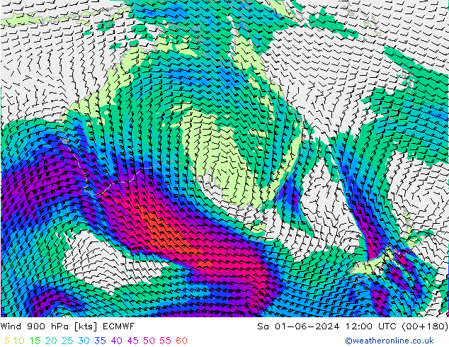 wiatr 900 hPa ECMWF so. 01.06.2024 12 UTC