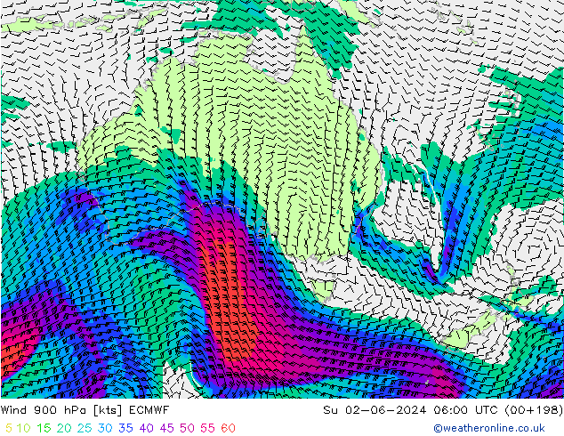 Wind 900 hPa ECMWF Ne 02.06.2024 06 UTC