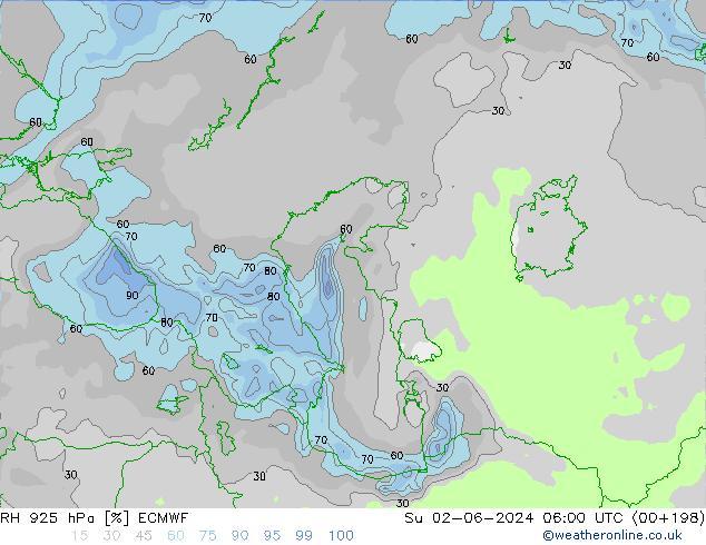 RH 925 гПа ECMWF Вс 02.06.2024 06 UTC