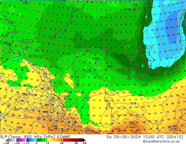 SLP/Temp. 850 hPa ECMWF sáb 25.05.2024 12 UTC