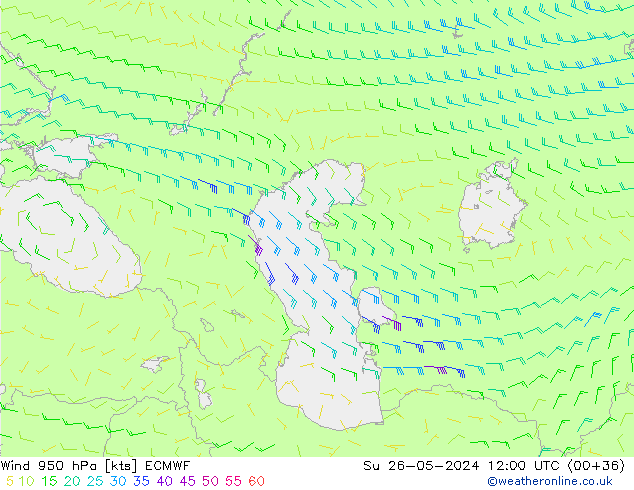 Wind 950 hPa ECMWF Su 26.05.2024 12 UTC