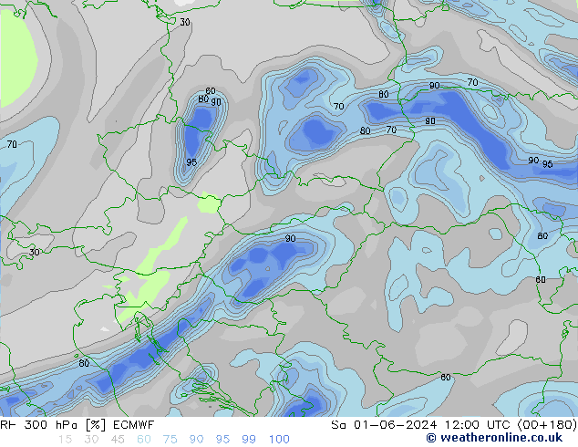 Humedad rel. 300hPa ECMWF sáb 01.06.2024 12 UTC