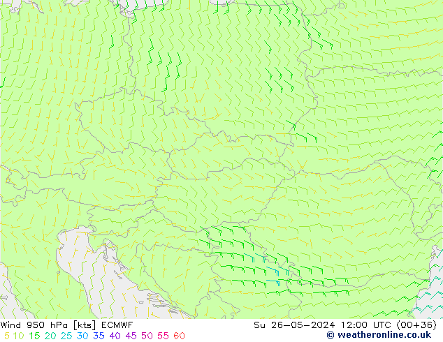 Wind 950 hPa ECMWF Ne 26.05.2024 12 UTC