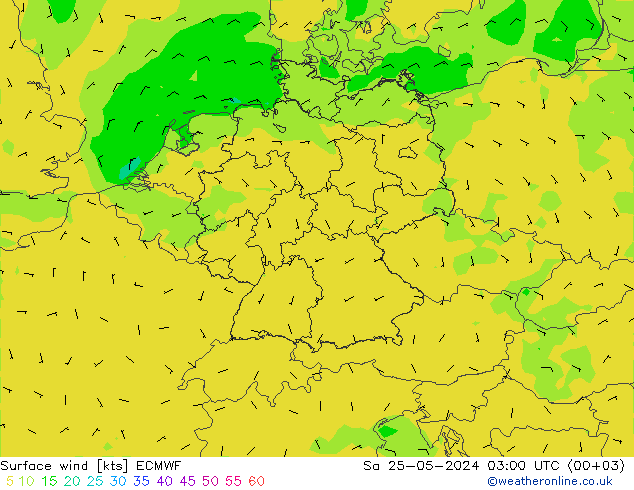 ветер 10 m ECMWF сб 25.05.2024 03 UTC