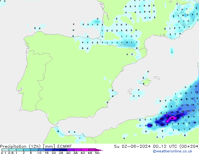 Totale neerslag (12h) ECMWF zo 02.06.2024 12 UTC