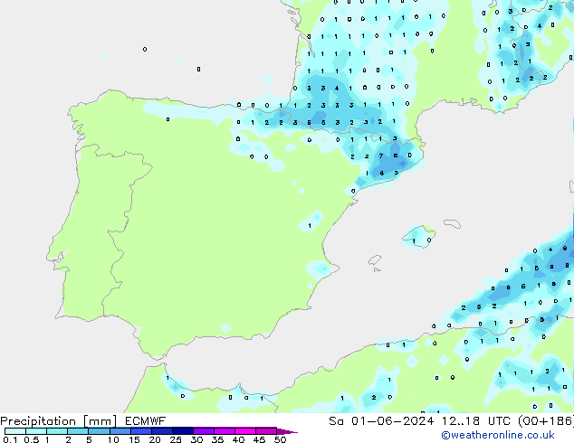 Precipitation ECMWF Sa 01.06.2024 18 UTC