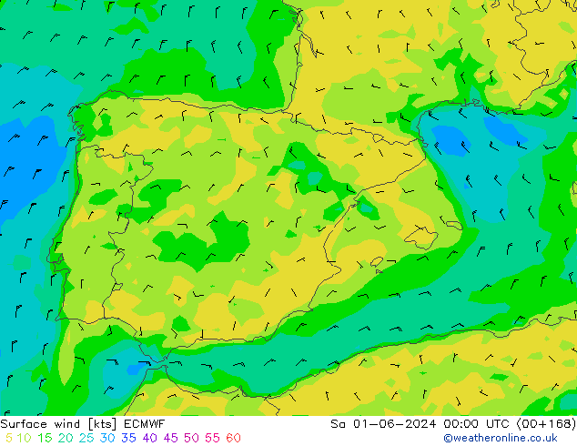 Wind 10 m ECMWF za 01.06.2024 00 UTC