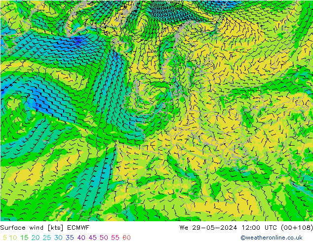 Surface wind ECMWF We 29.05.2024 12 UTC